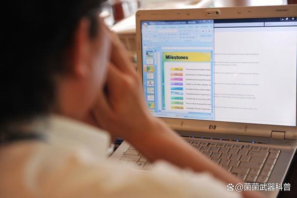 智慧護航，數據賦能 《2025年度大理州強制隔離戒毒所機關信息系統維護服務項目》透視
